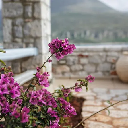 Lejlighed Junior With Sea View Areopoli